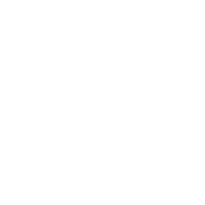 adigi total web