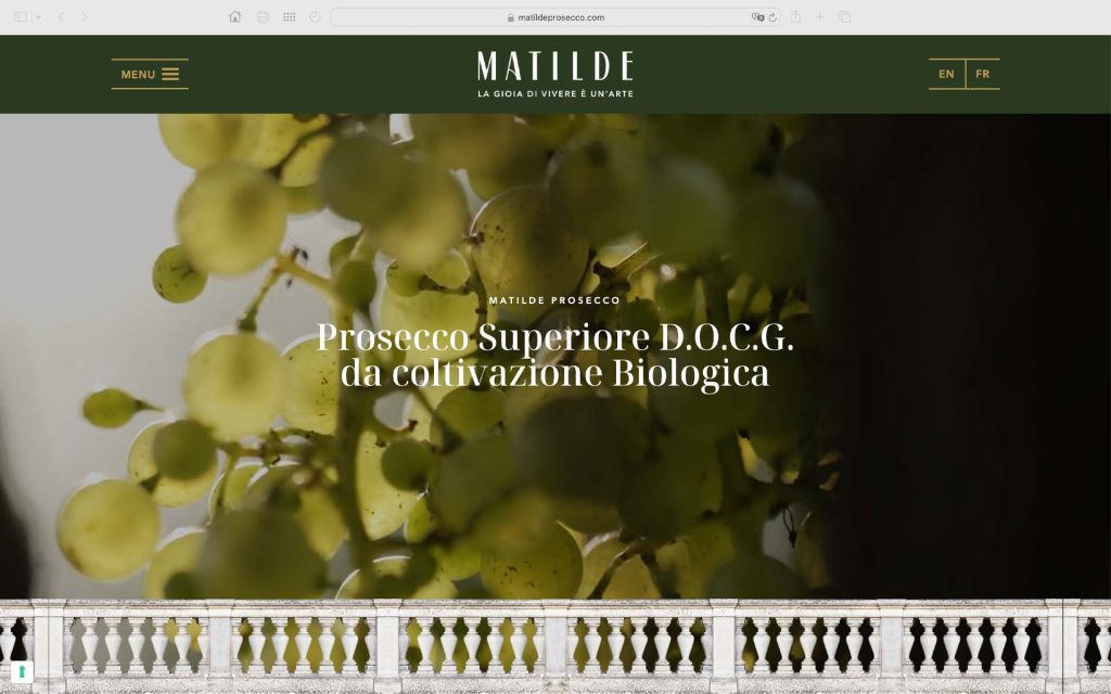 realizzazione siti web a Udine