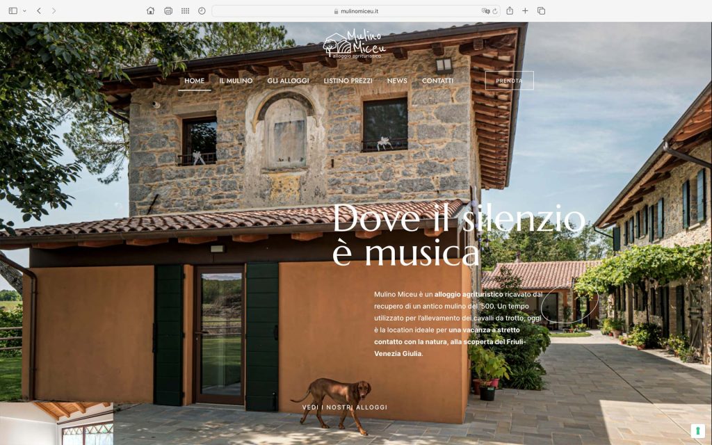 realizzazione siti web a Udine